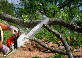 Trusted Vermilion, OH Tree Removal and Landscaping Services Experts